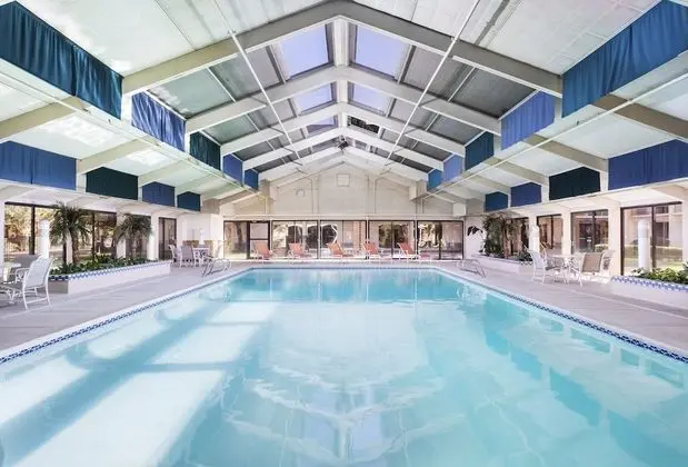 The Querque Hotel - Havuz