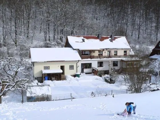 Quietly Located Holiday Home With Terrace at the Edge of the Forest - Dış Mekan