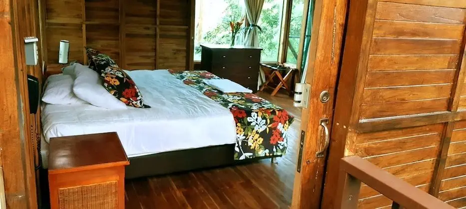 Quindio Close To Quimbaya - Oda