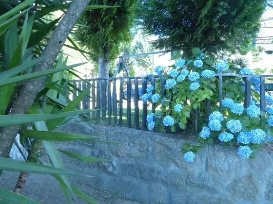 Quinta da Cartida - Havuz