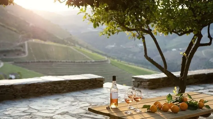 Quinta da Gricha - Dış Mekan