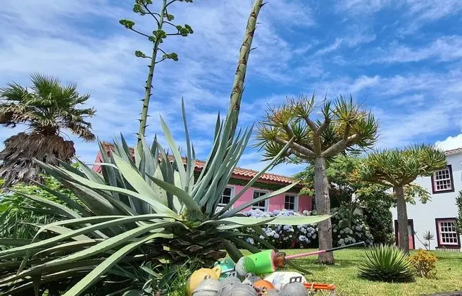 Quinta da Meia Eira - Dış Mekan