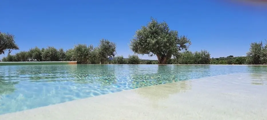 Quinta da Soneca Turismo Rural - Havuz