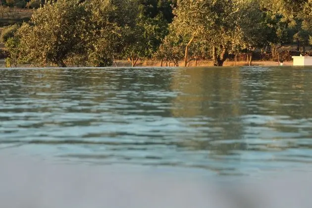 Quinta da Soneca Turismo Rural - Havuz