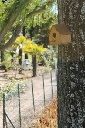 Quinta da Timpeira - Dış Mekan