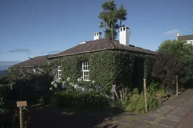 Quinta das Buganvílias - Lobi