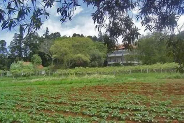Quinta das Colmeias - Dış Mekan