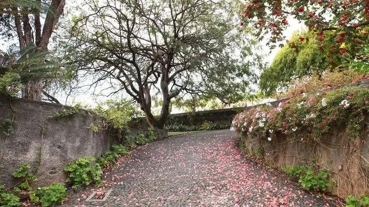 Quinta das Malvas - Dış Mekan