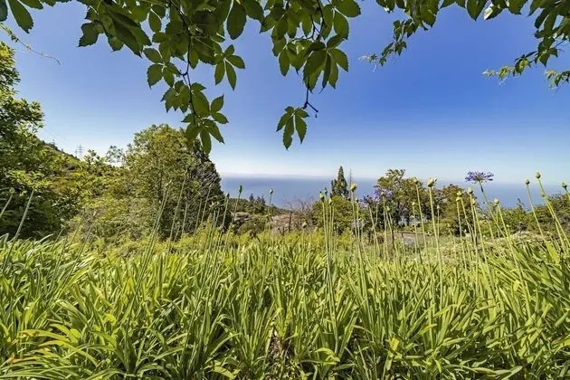 Quinta Devónia II - Tília by An Island Apart