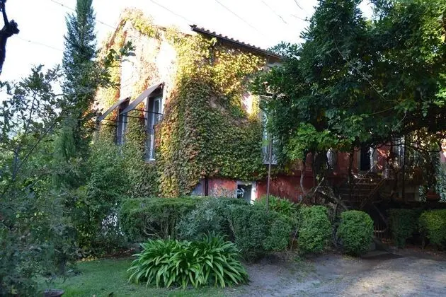 Quinta Do Ameal - Wine & Tourism - Genel