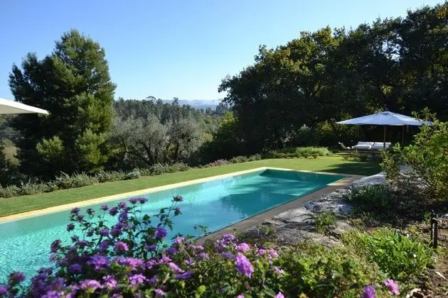 Quinta Do Ameal - Wine & Tourism - Havuz