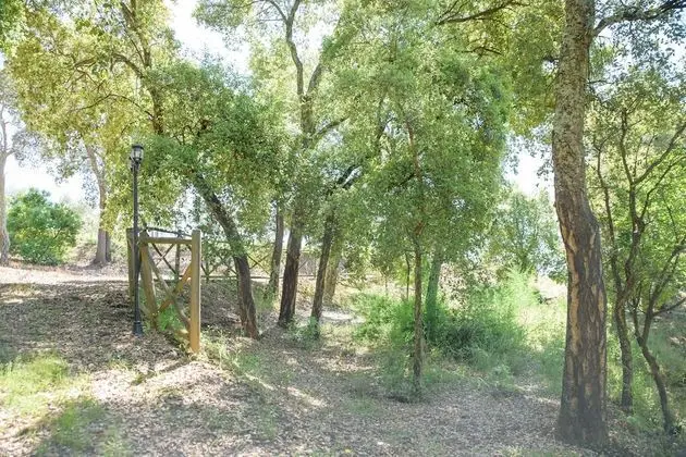 Quinta do Bosque - Dış Mekan