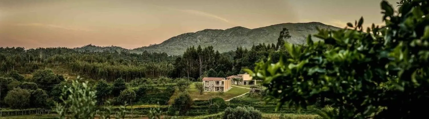 Quinta do Fortunato - Dış Mekan
