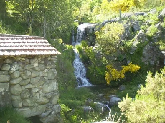 Quinta Dos 4 Lagares - Genel