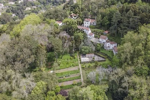 Quinta dos Lobos Boutique Hotel - Art & Nature Experience