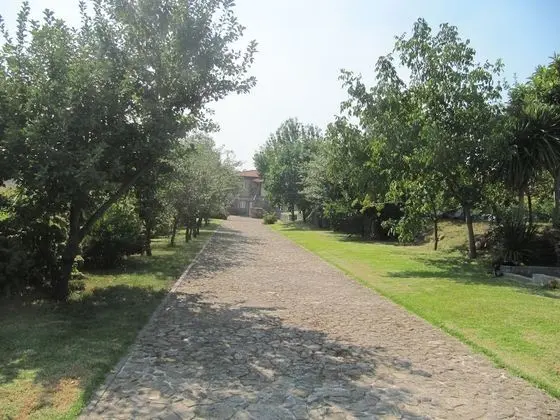 Quinta Eido Oliveira - Dış Mekan