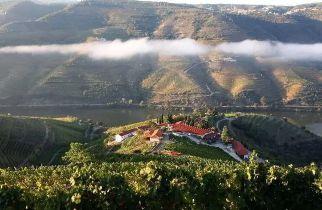 Quinta Nova - Luxury Winery House