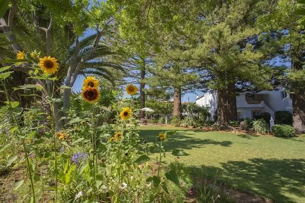 Quinta Paraiso da Mia - 1 Bedroom Apartment - Dış Mekan
