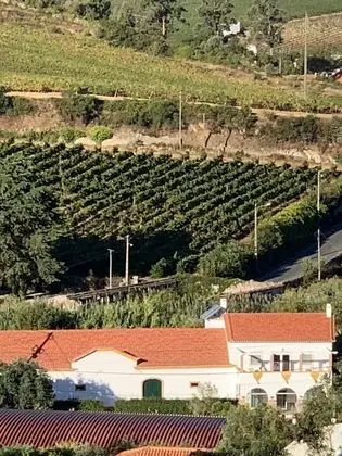 Quinta Ribeira do Labrador - Lisbon West Wine Route - Dış Mekan