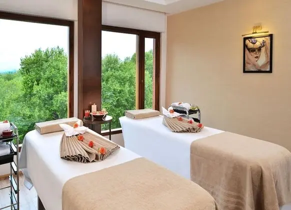R.K. Sarovar Portico Srinagar - Spa