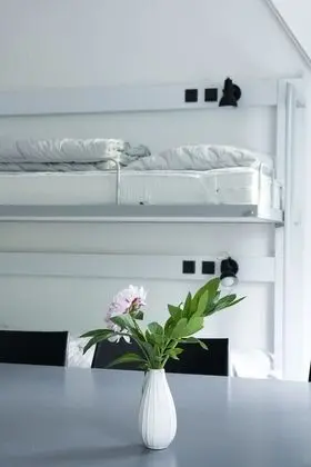 Raadvad Hostel - İç Mekan
