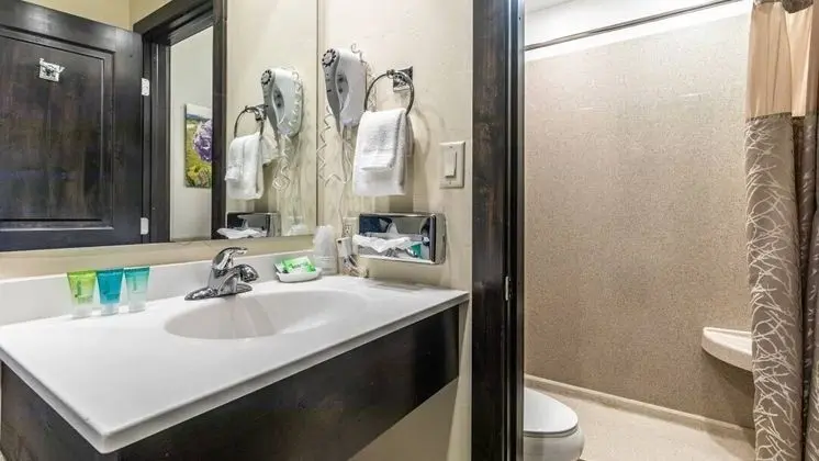 Rabbit Ears Motel - Banyo Özellikleri