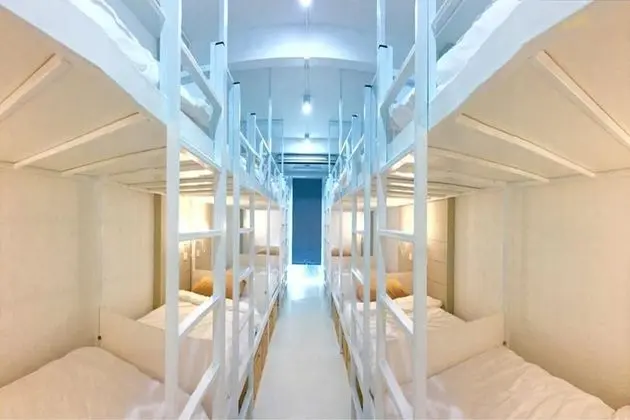 Rabbitat Hostel