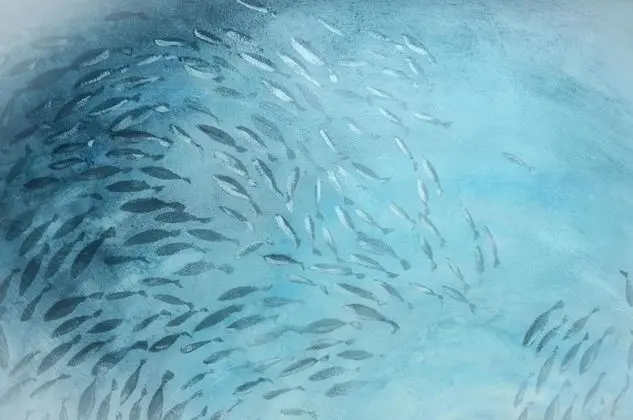 Racconti Di Mare - 5 Terre - Havuz