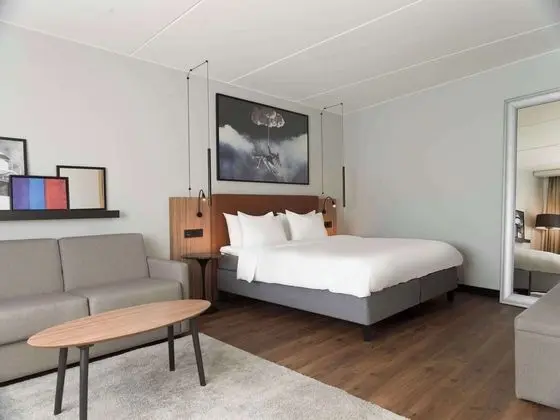 Radisson Blu Airport Hotel, Oslo Gardermoen - Genel