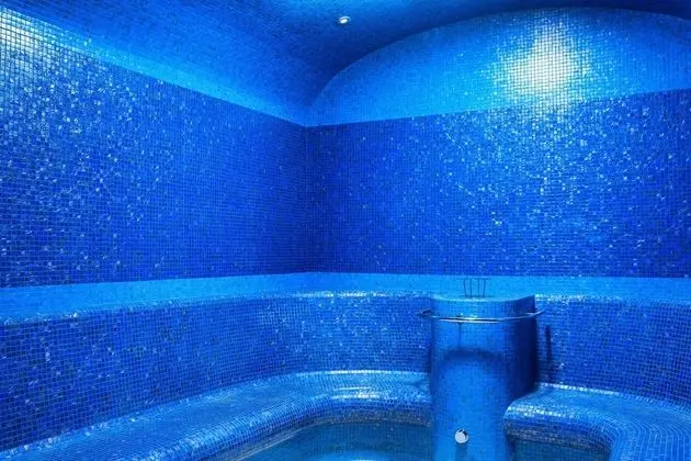 Radisson Blu Bosphorus Hotel, Istanbul - Havuz