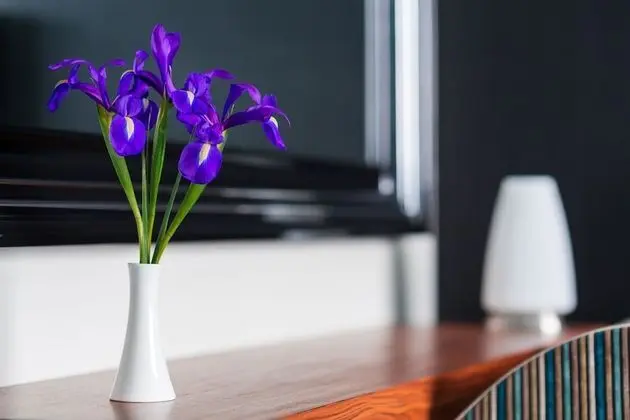 Radisson Blu Hotel, Chelyabinsk - Oda