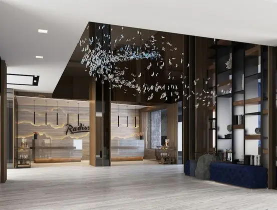Radisson Blu Hotel, Cluj - Lobi