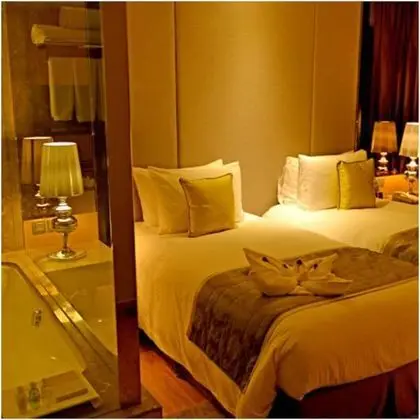 Radisson Blu Jaipur - Oda
