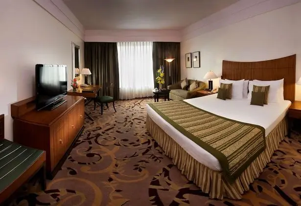 Radisson Blu Hotel Noida - Oda