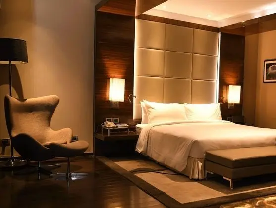 Radisson Blu Plaza Delhi Airport - Oda