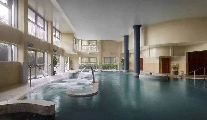 Radisson Blu Hotel & Spa, Cork - Havuz