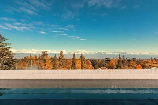RADISSON COLLECTION HOTEL, TSINANDALI EST GEORGIA
