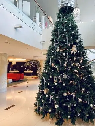 Radisson Hotel Kaliningrad - Lobi