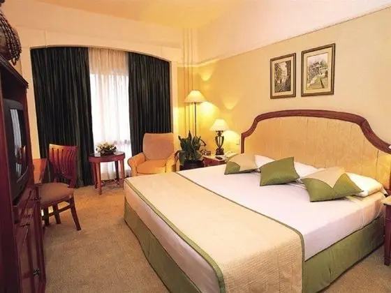 Radisson Kathmandu - Genel