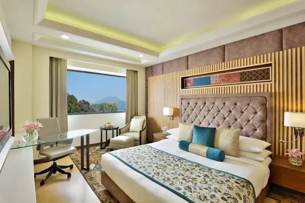 Radisson Srinagar - Oda