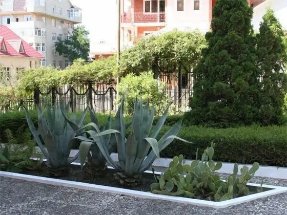 Raduzhny Hotel - Dış Mekan