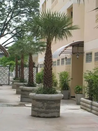 Rafael Mansion Bangkok Aiport - Dış Mekan