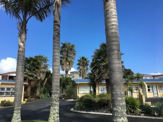 Raglan Palm Beach Motel - Dış Mekan