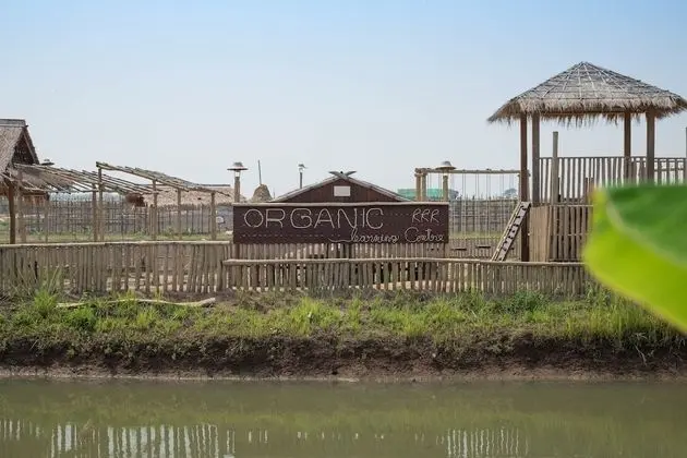 Rai Ruen Rom Organic Farm - Öne Çıkan Resim