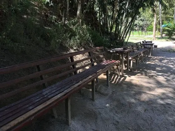 Rain Forest Inn - Dış Mekan