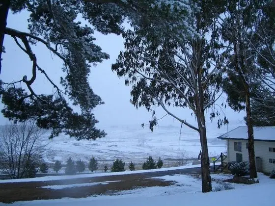 Rainbow Pines Tourist Caravan Park - Dış Mekan