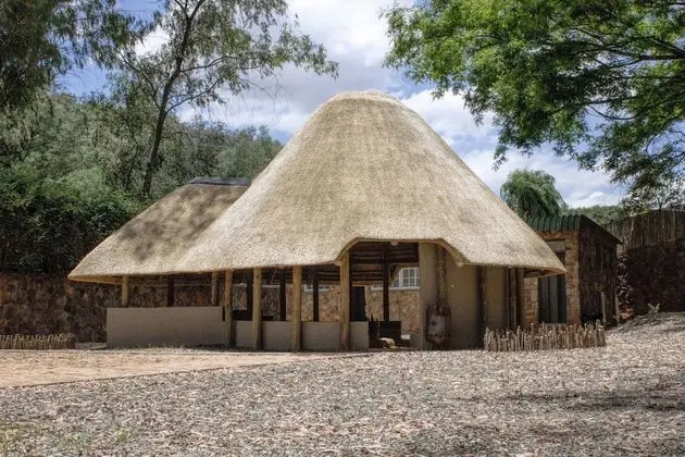 Rainforest Boutique Camp - Dış Mekan