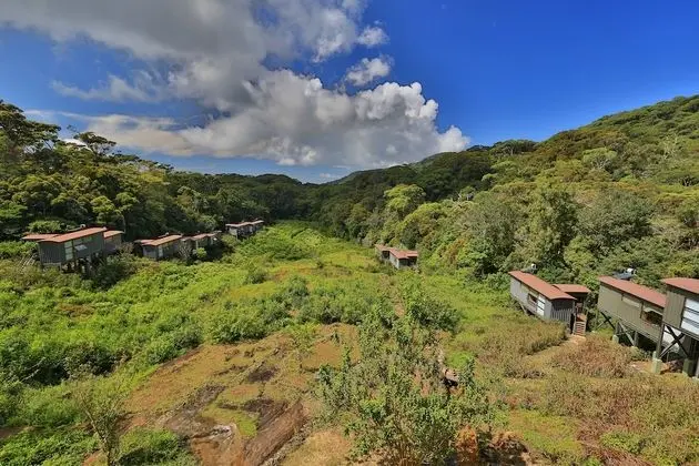 The Rainforest Ecolodge