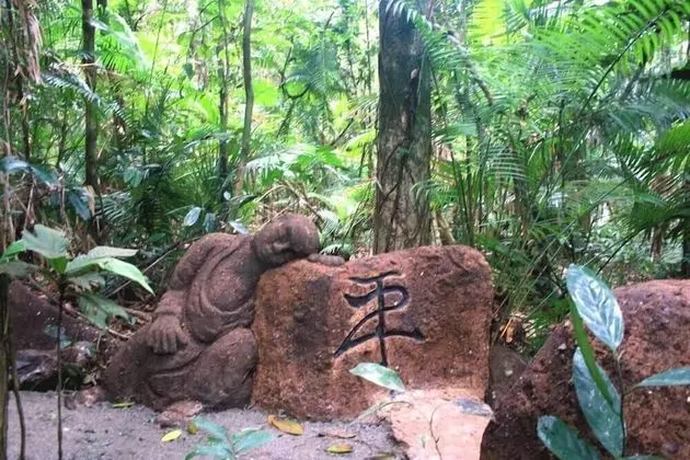 Rainforest Hideaway - Dış Mekan