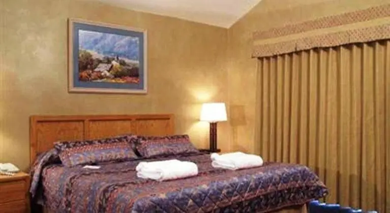 Raintree's Park Plaza Park City - Genel
